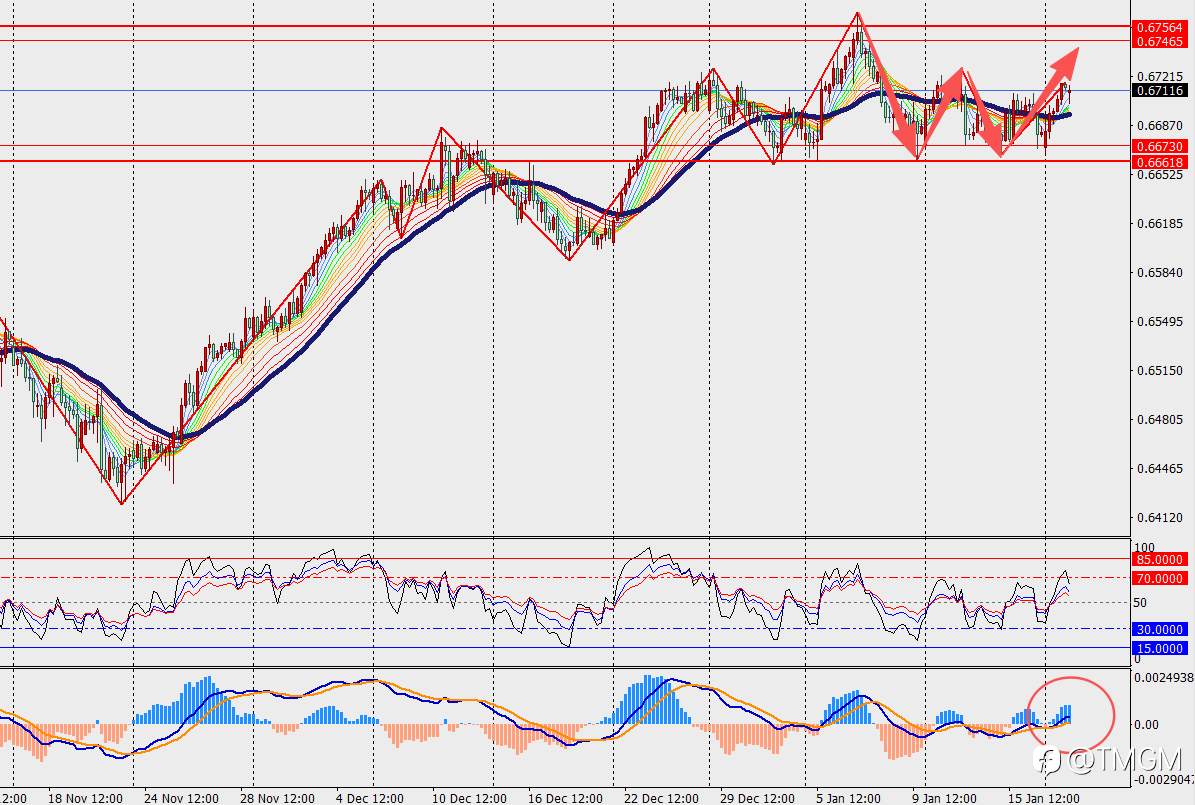 TMGM每日市场1月20日