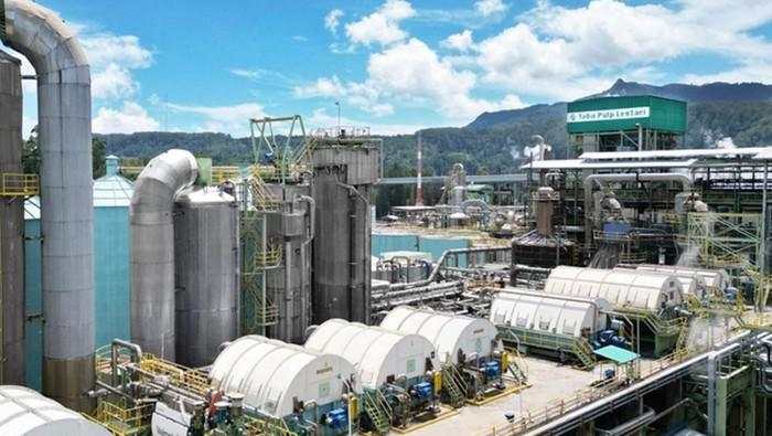 Toba Pulp Lestari Langsung Buka Suara Usai Disikat Luhut