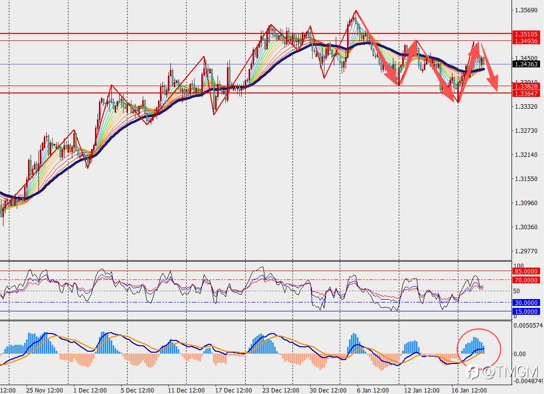 TMGM每日市场1月21日