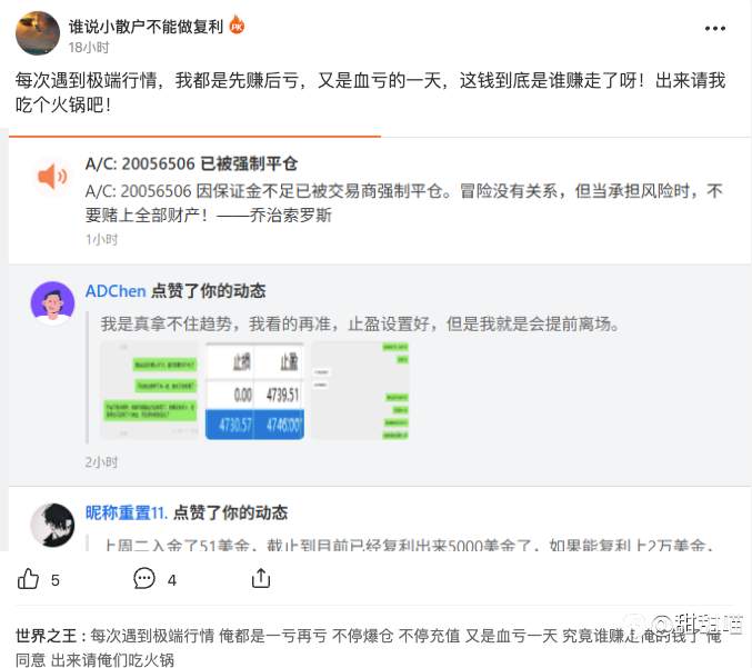 喵喵看汇友（四）