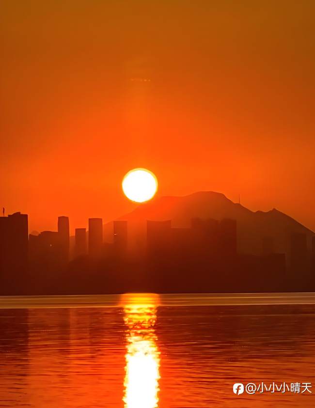 在市场的浪潮中重塑自我