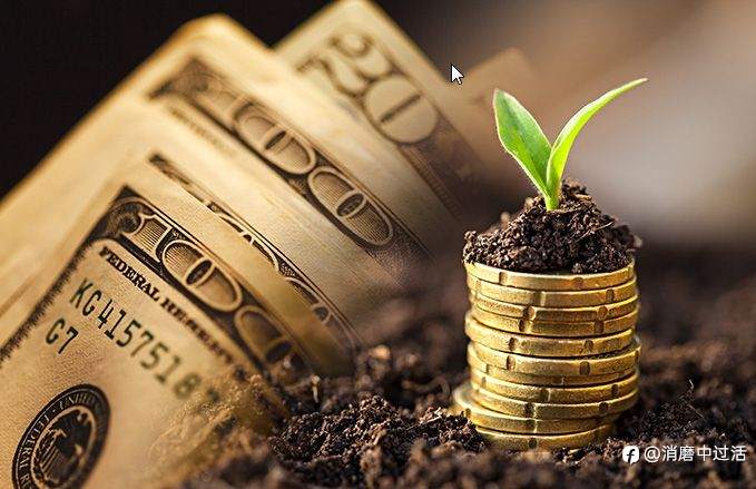 外汇投资公司内幕揭秘