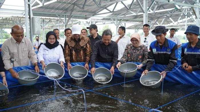 Boyolali Ditargetkan Jadi Pusat Lele Jateng, KKP Tebar Puluhan Ribu Benih