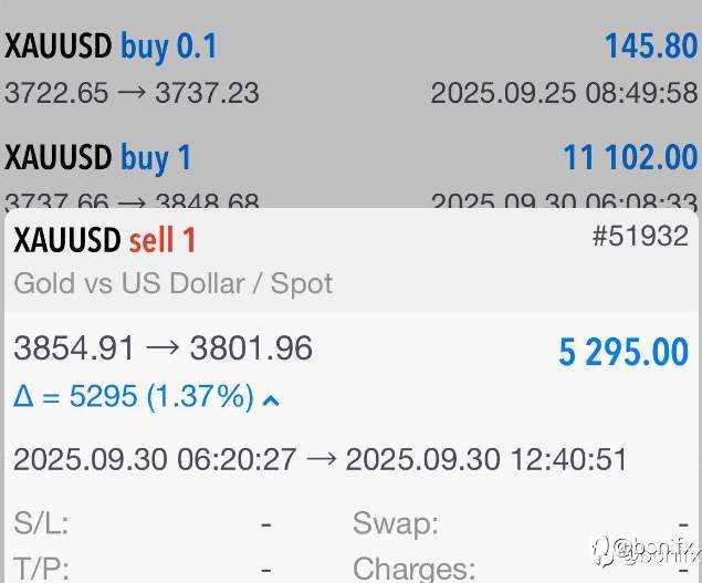 Forex Live Trading: The Path to Sustainable Growth