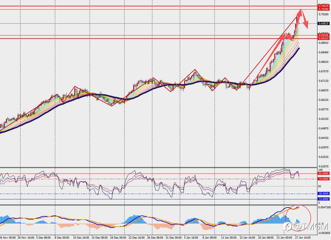 TMGM每日市场1月28日