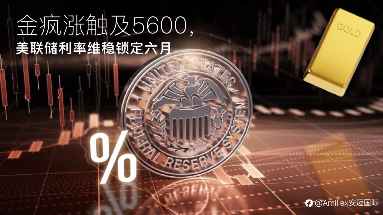 Amillex安迈每日汇评｜黄金疯涨触及5600，美联储利率维稳锁定六月