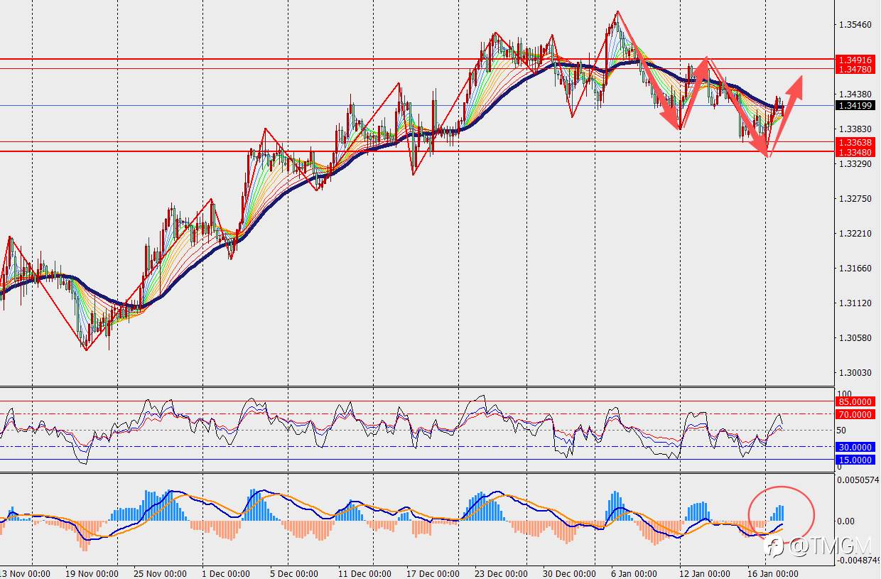 TMGM每日市场1月20日