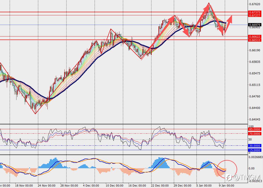 TMGM每日市场1月12日