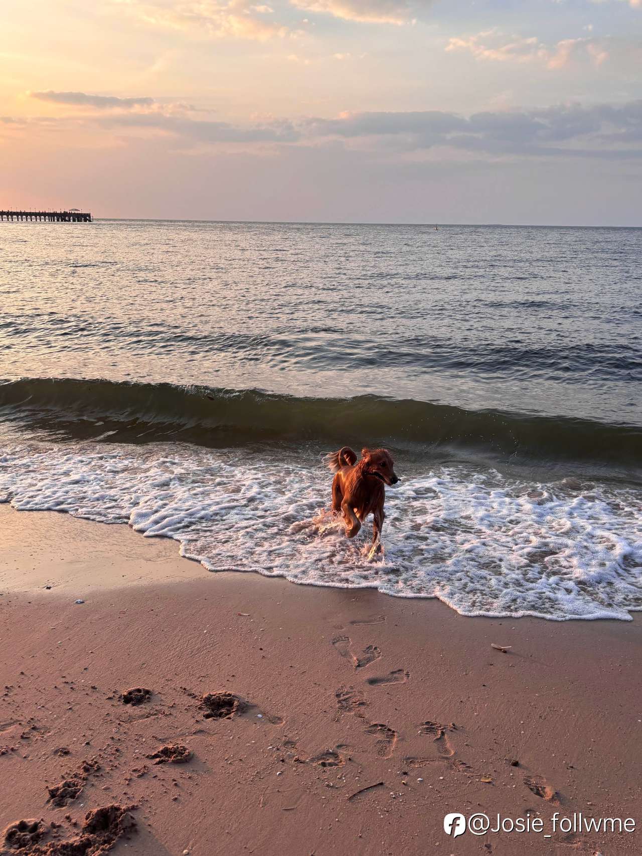 听劝！本周黄金真的别乱买