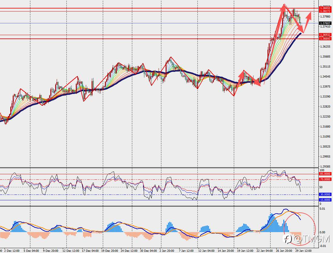 TMGM每日市场1月30日