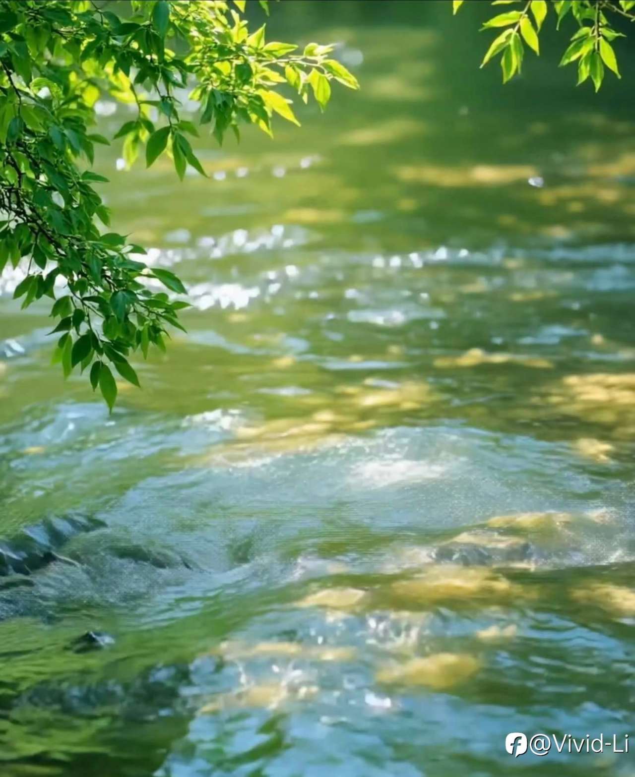 老顽童的故事后,就写写自己吧…