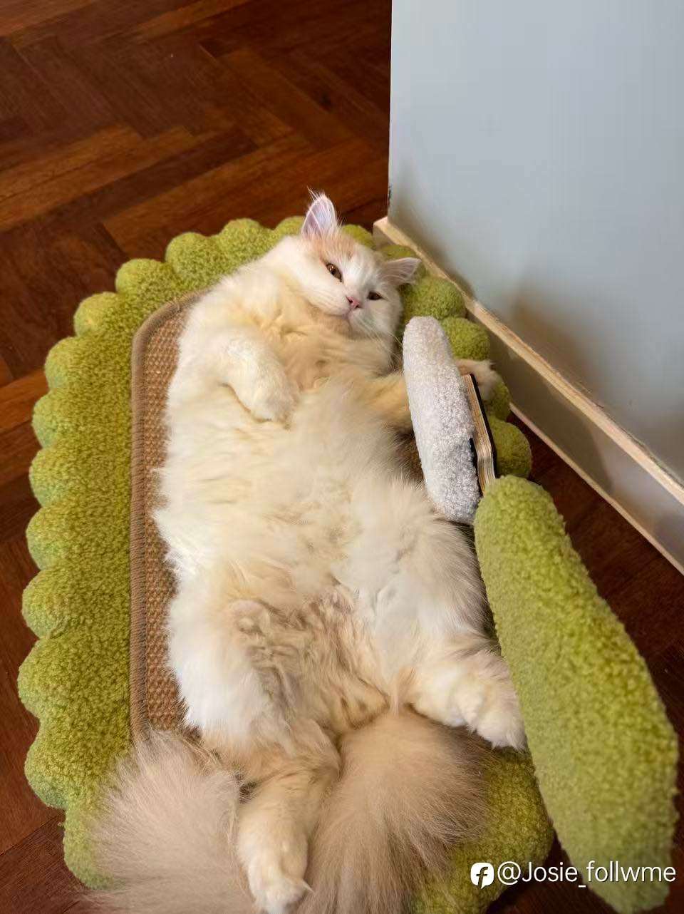 亏损之后,有一周决定你还能不能走下去