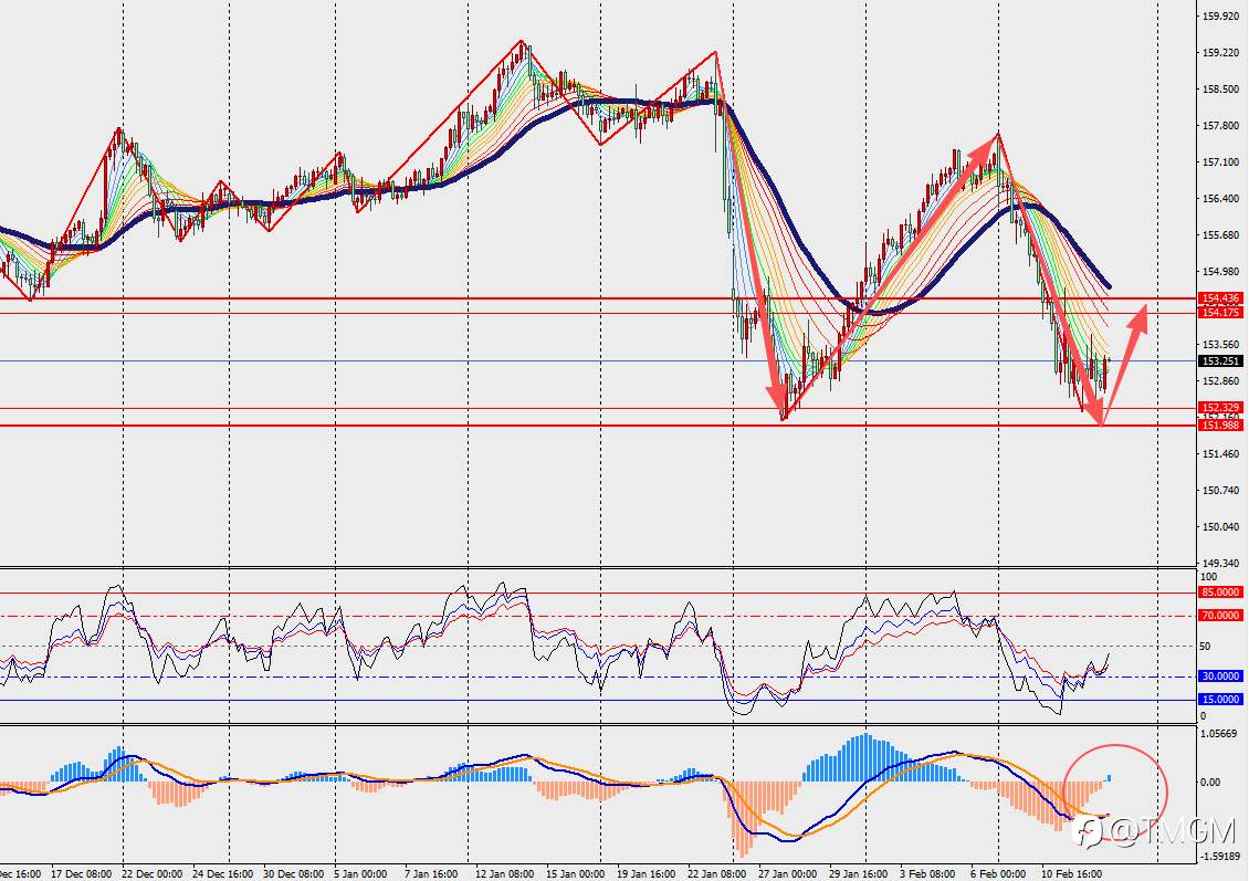 TMGM每日市场2月13日
