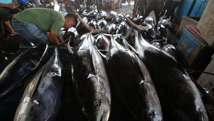 Stok Ikan Aman Saat Ramadan, tapi Harganya Ada yang Naik