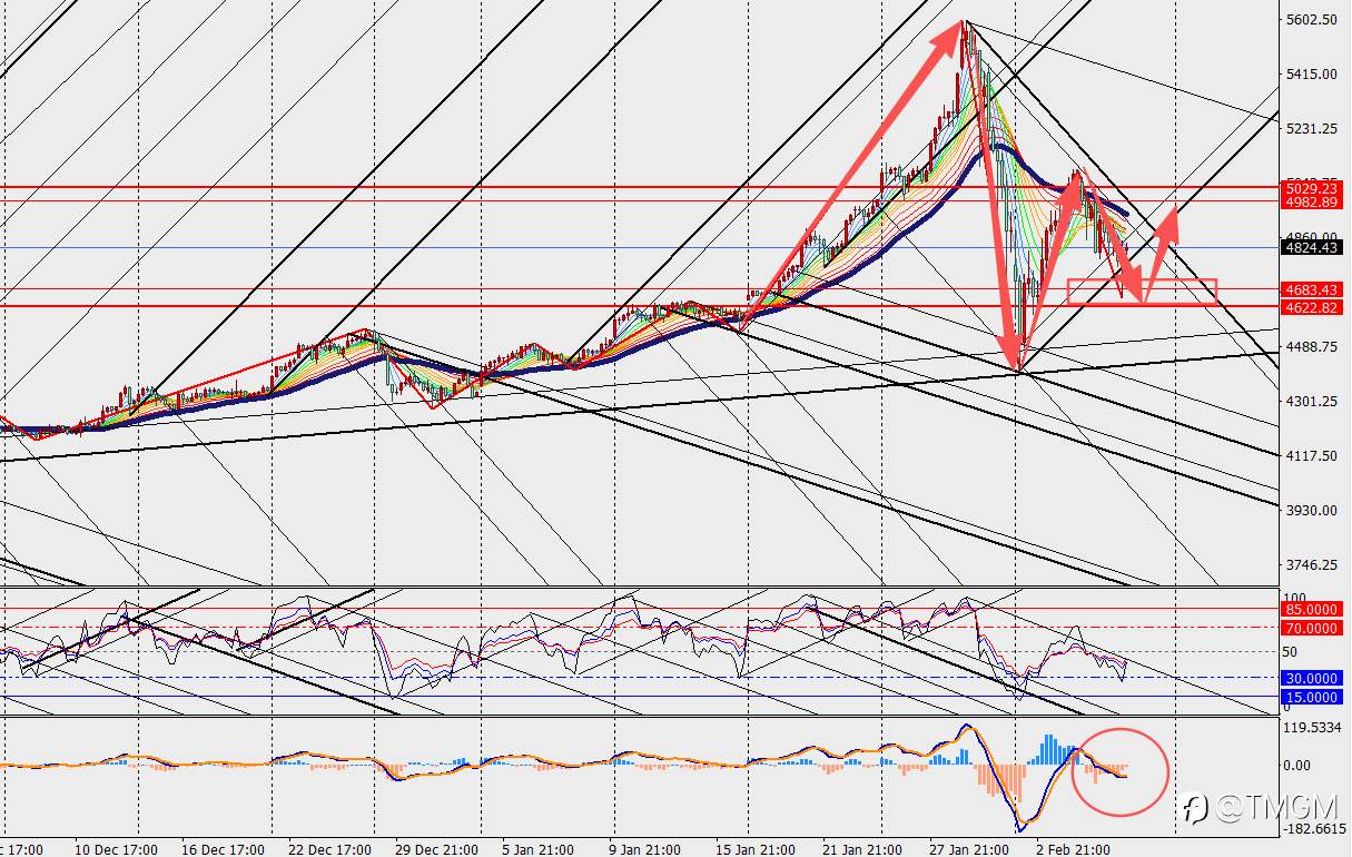 TMGM：黄金ETF无惧波动疯狂买入，金价暴跌日资金抄底正当时！