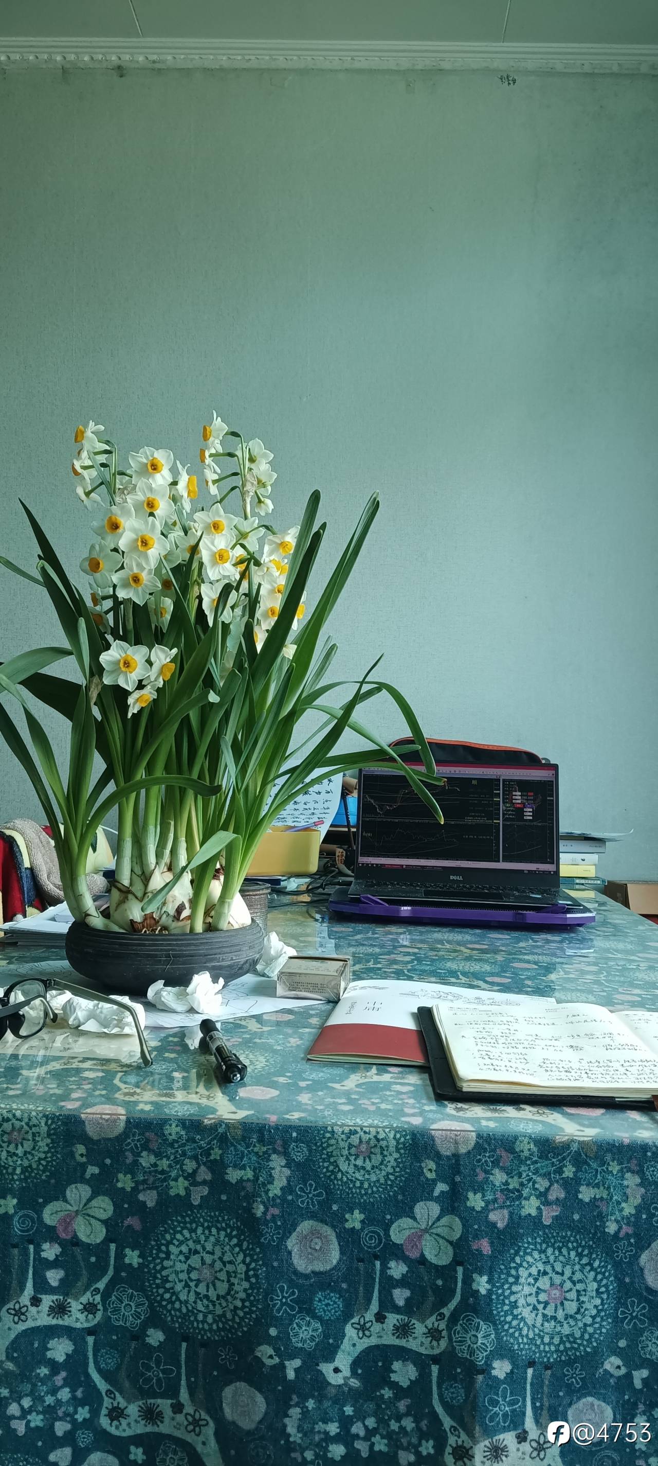 春风得意马蹄轻