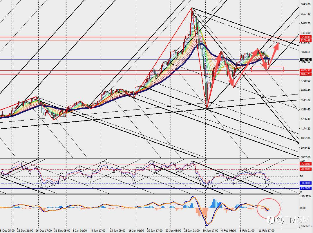 TMGM:美国CPI数据前夜,AI投资恐慌拖累黄金盘中闪崩!