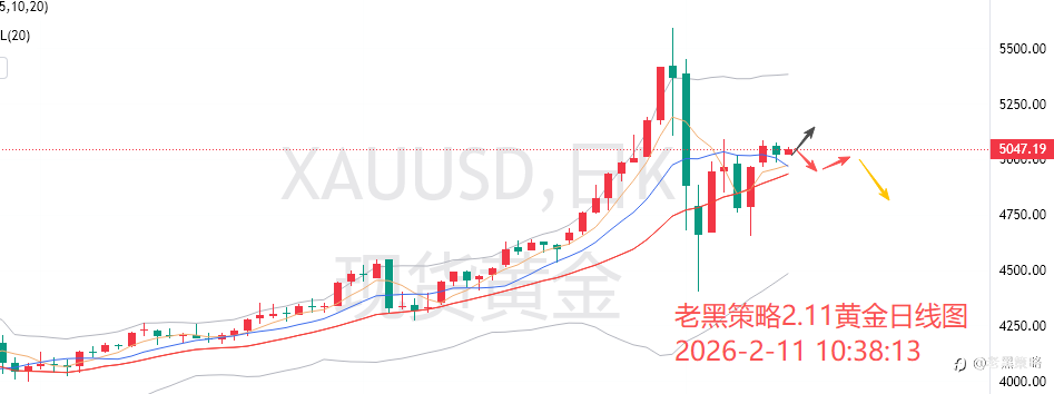 老黑策略:2.11外汇、黄金、原油分析策略