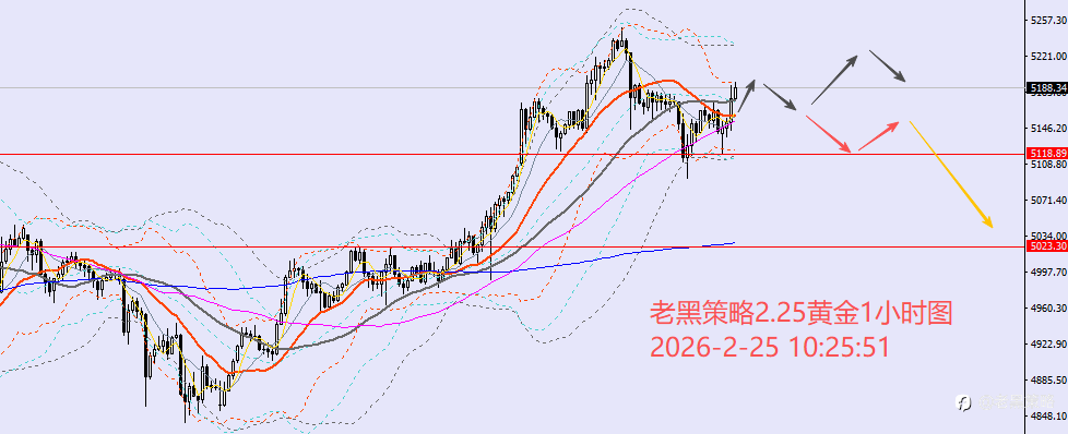 老黑策略：2.25外汇、黄金、原油分析策略