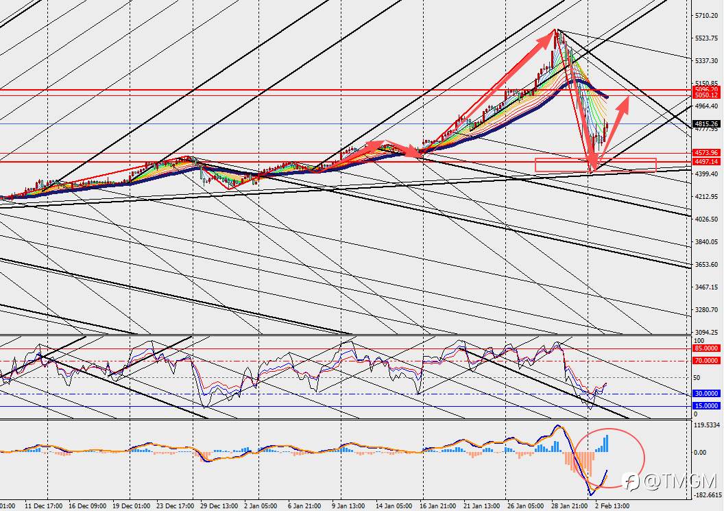 TMGM:黄金连续暴跌,然而市场看到的是风险,还是十年一遇的买入机会?