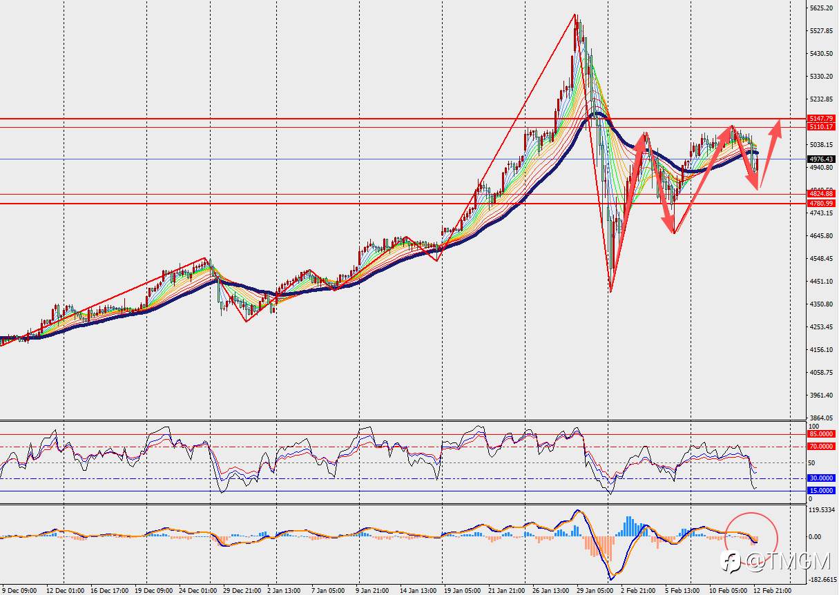 TMGM每日市场2月13日