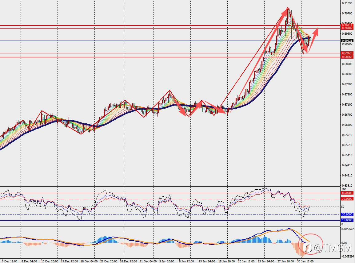TMGM每日市场2月3日