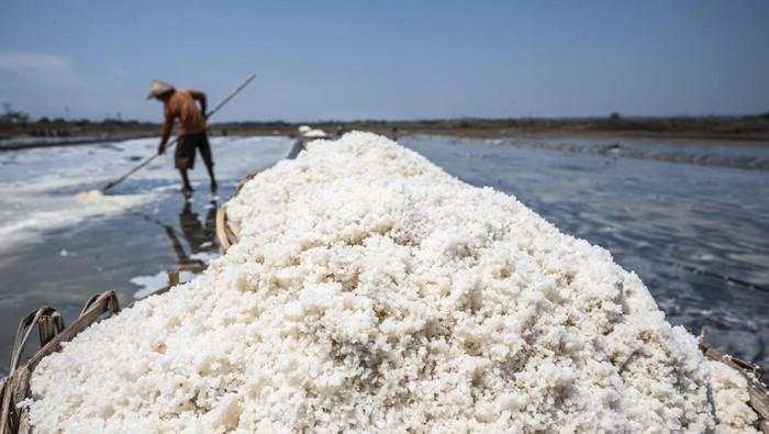 Pengusaha Teriak Harga Garam RI Mahal, Kalah Jauh dari Australia-India