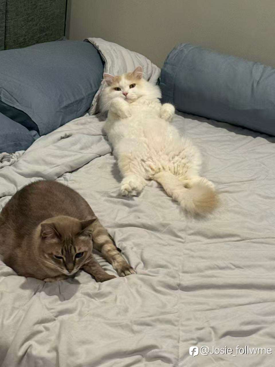 亏损之后,有一周决定你还能不能走下去