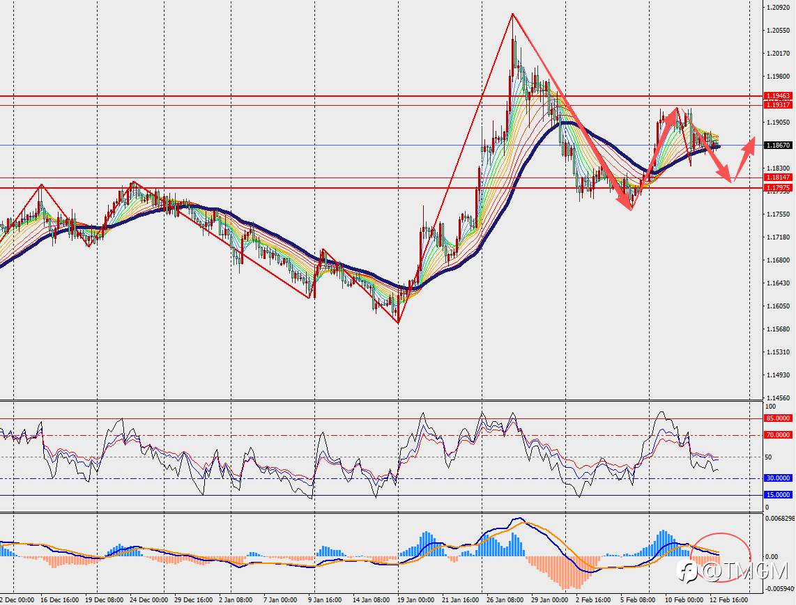 TMGM每日市场2月13日