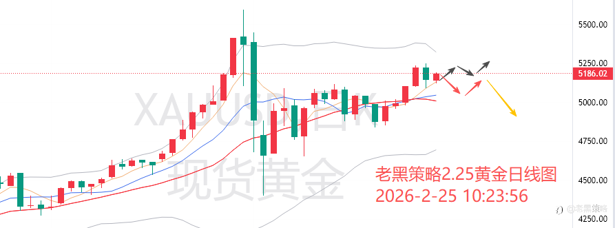 老黑策略：2.25外汇、黄金、原油分析策略
