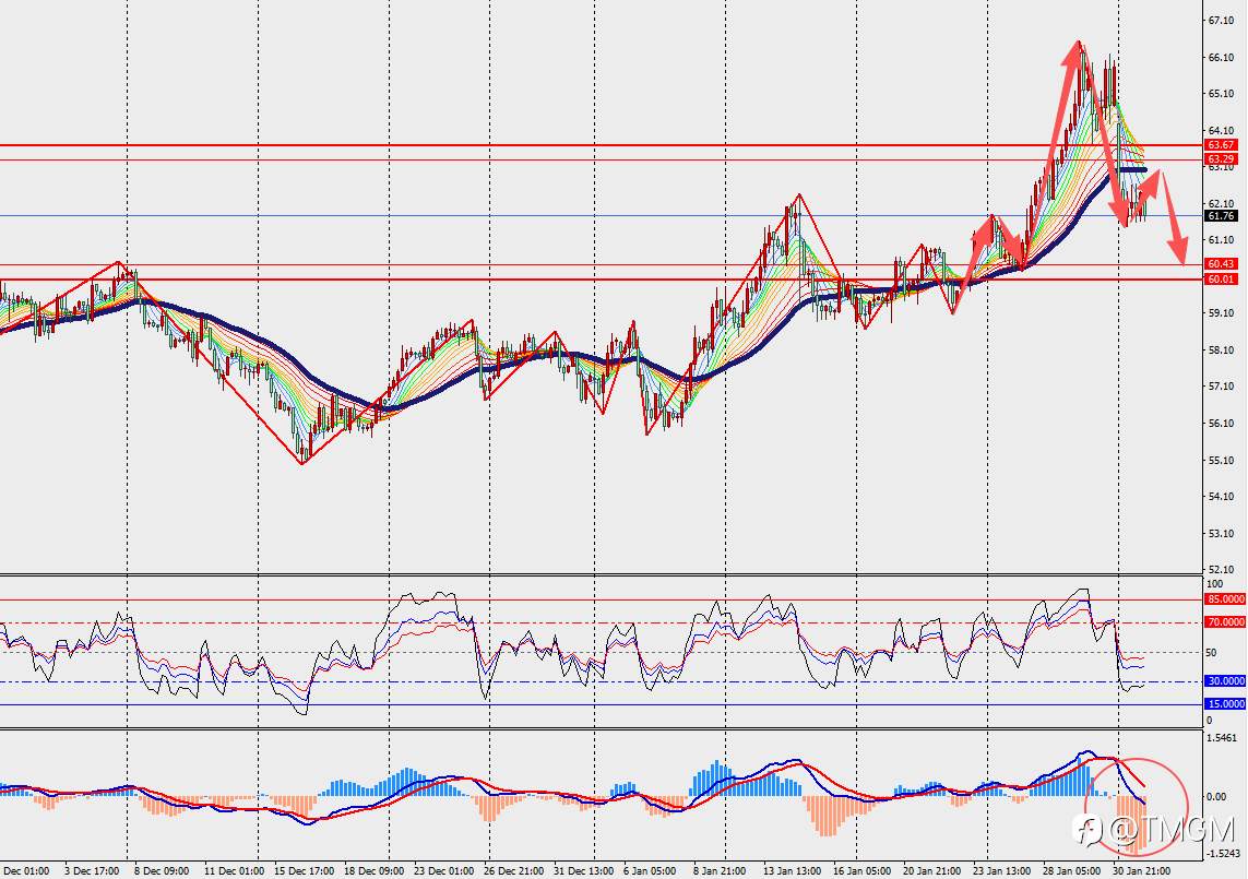 TMGM每日市场2月3日