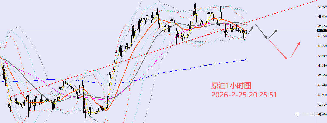 老黑策略：2.25晚盘外汇、黄金、原油分析策略