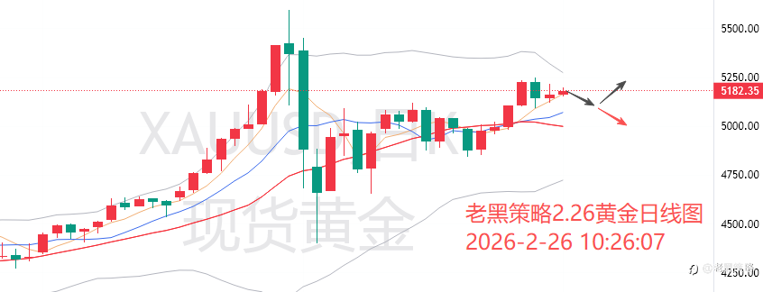老黑策略：2.26外汇、黄金、原油分析策略