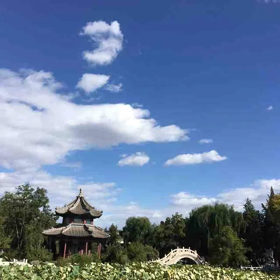 贵金属暴涨的1月，他单月盈利54万美元！