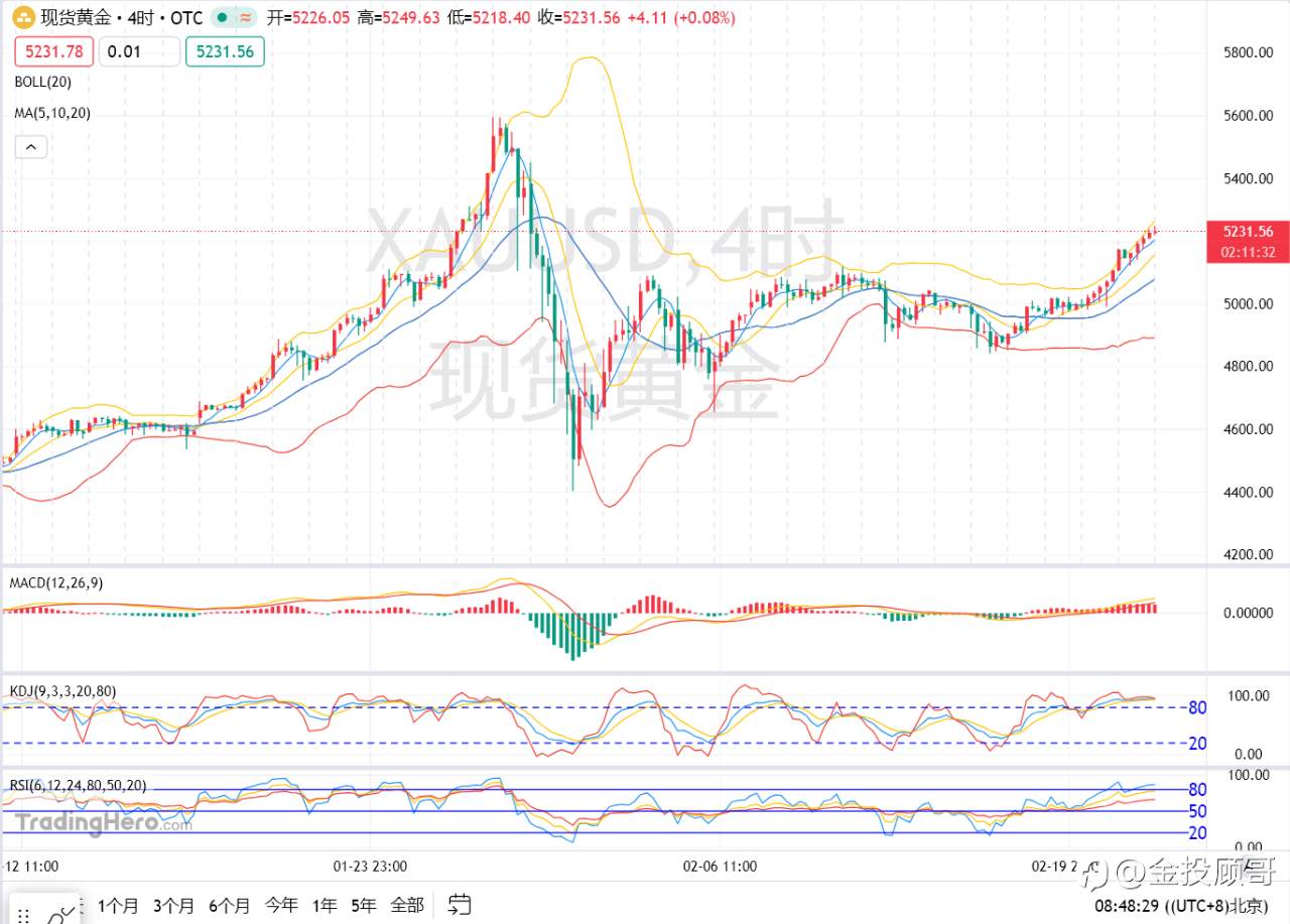 金投顾哥：2月24号早评黄金牛市回归强势拉升
