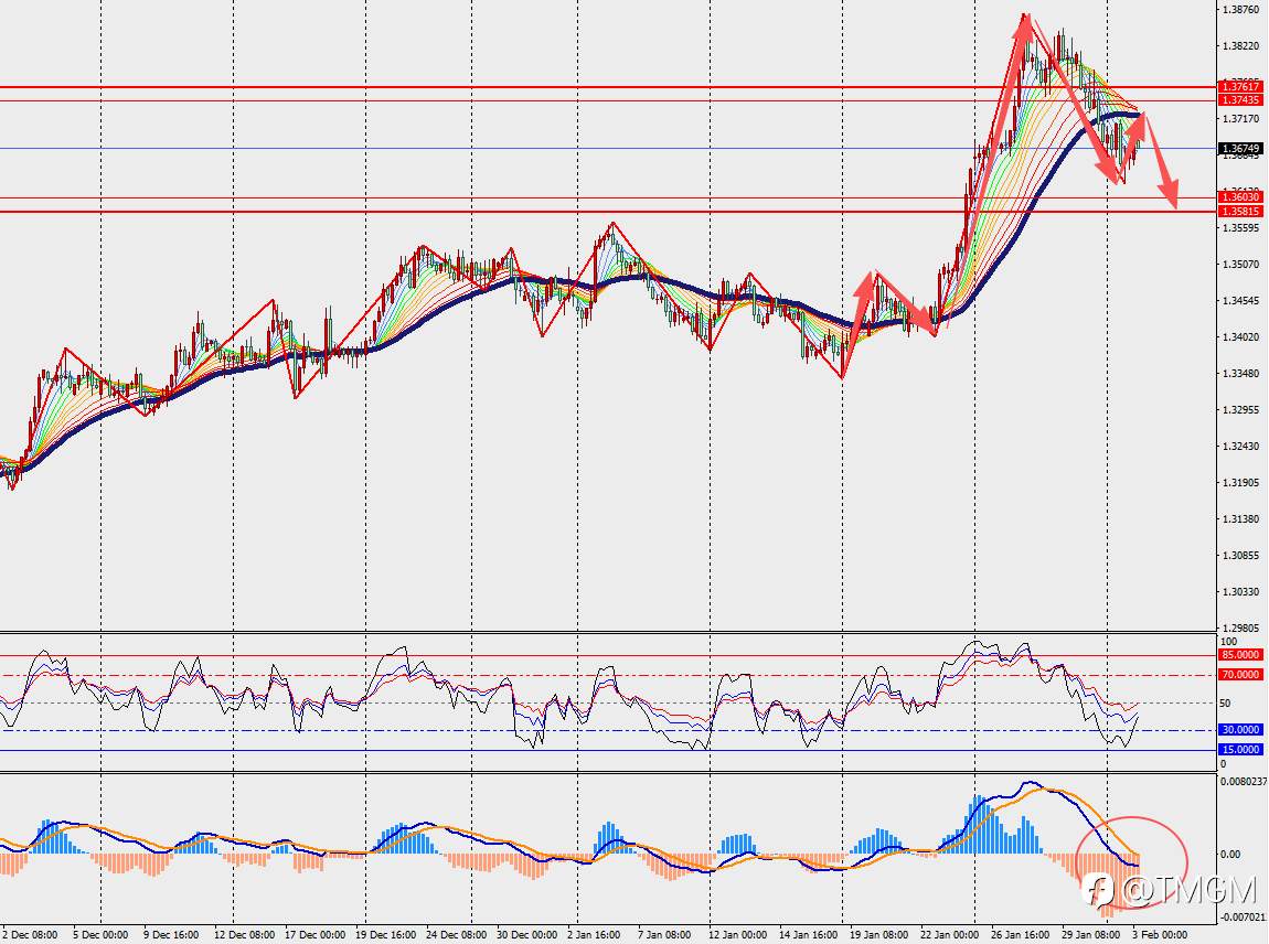TMGM每日市场2月3日