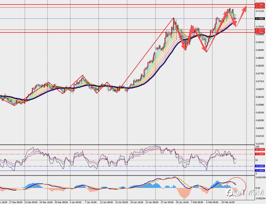 TMGM每日市场2月13日