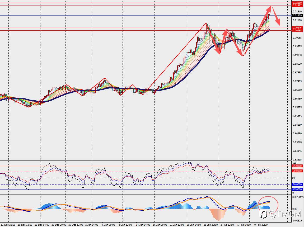 TMGM每日市场2月12日