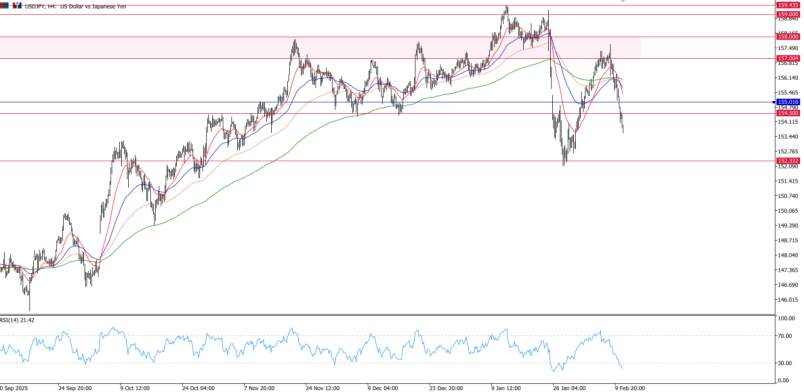 2026年2月11日市场报告