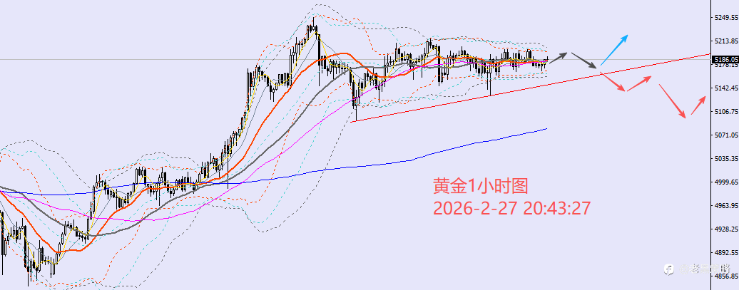 老黑策略:2.27晚盘外汇、黄金、原油分析策略