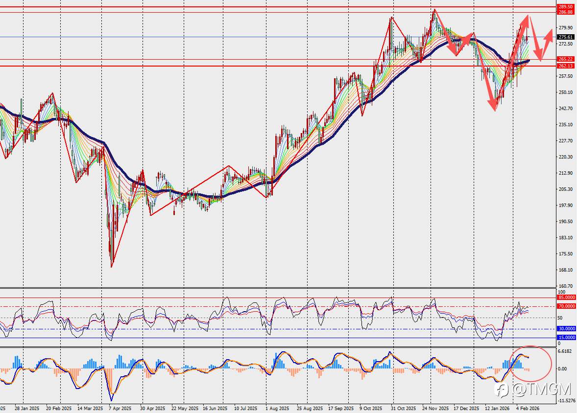TMGM每日市场2月12日