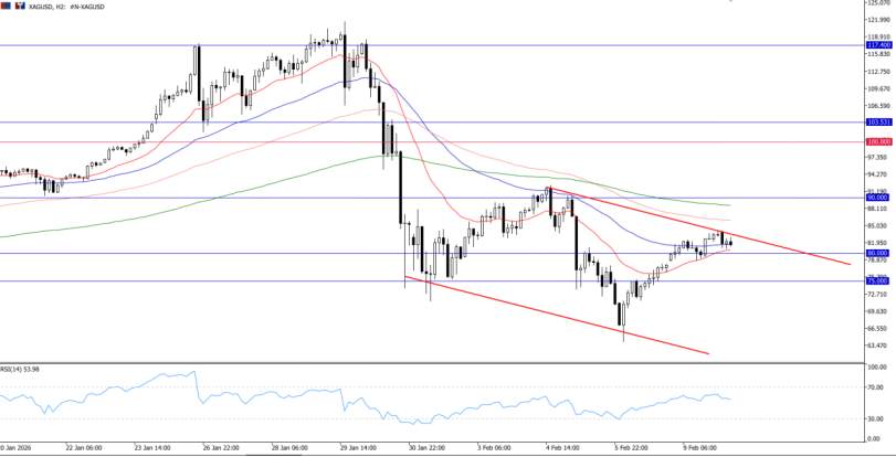 2026年2月10日市场报告