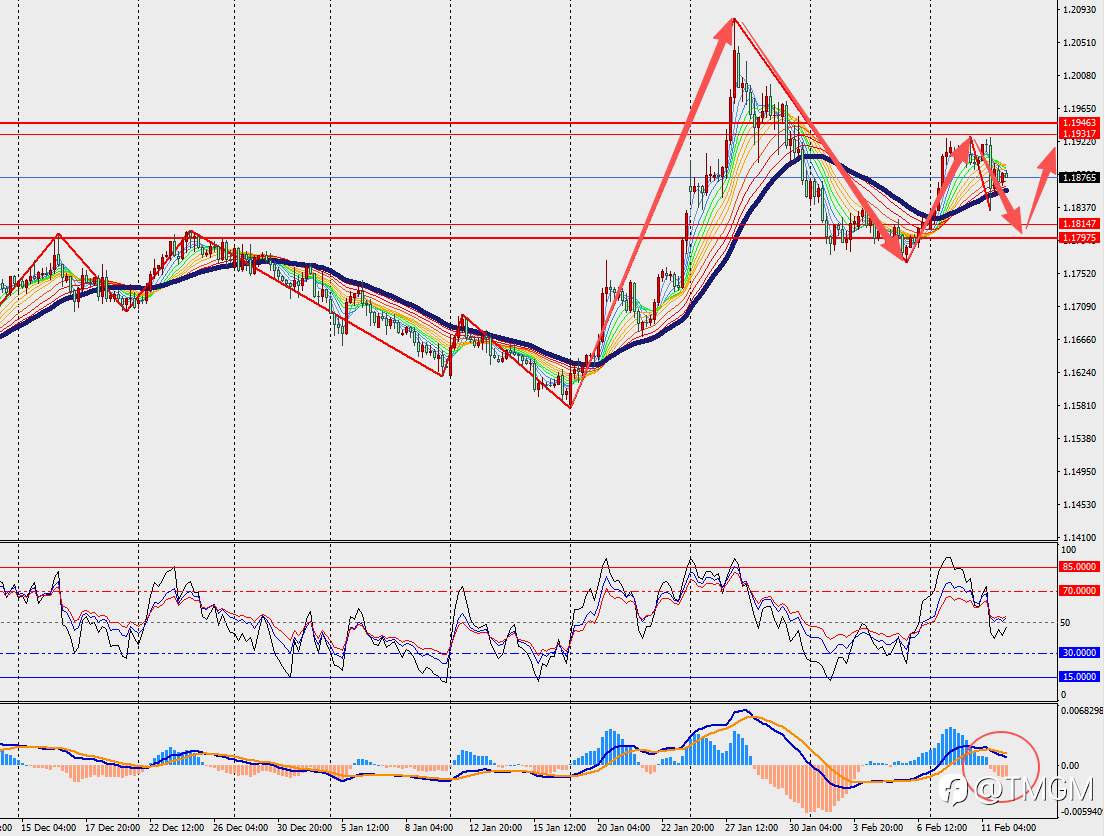 TMGM每日市场2月12日
