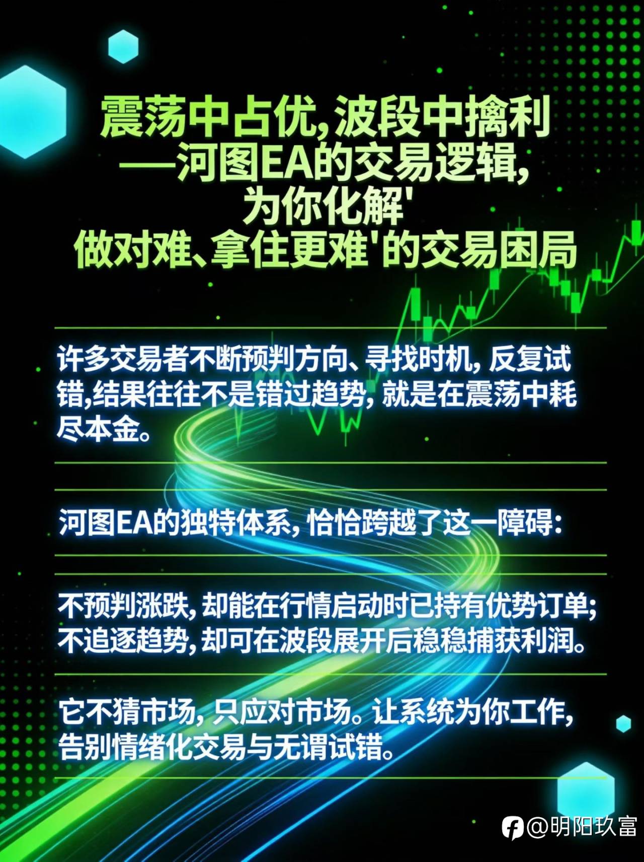 feed-image-1