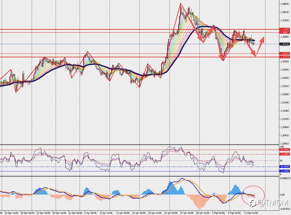 TMGM每日市场2月13日