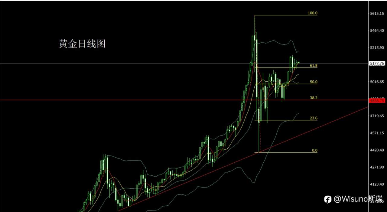 Wisuno2月27日市场分析:震荡延续,金银仍以回调布局为主