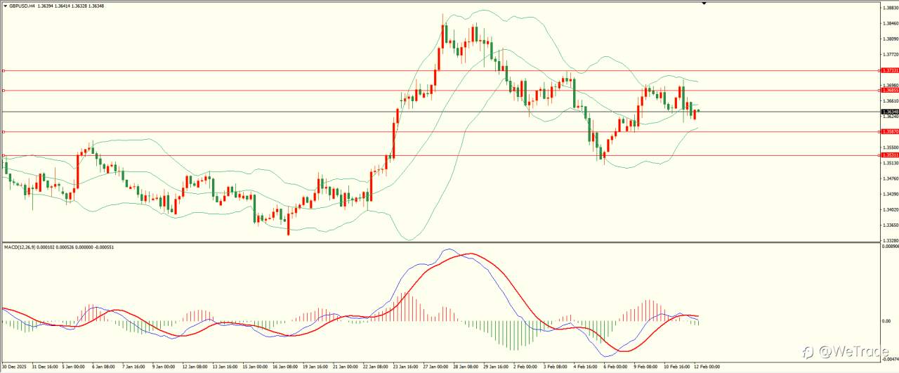 2026年2月12日|每日汇评-技术分析|栾雪：波幅受限 黄金维持震荡