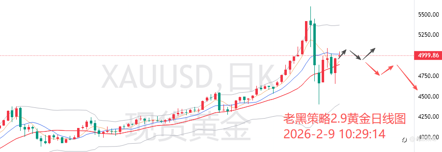 老黑策略：2.9外汇、黄金、原油分析策略