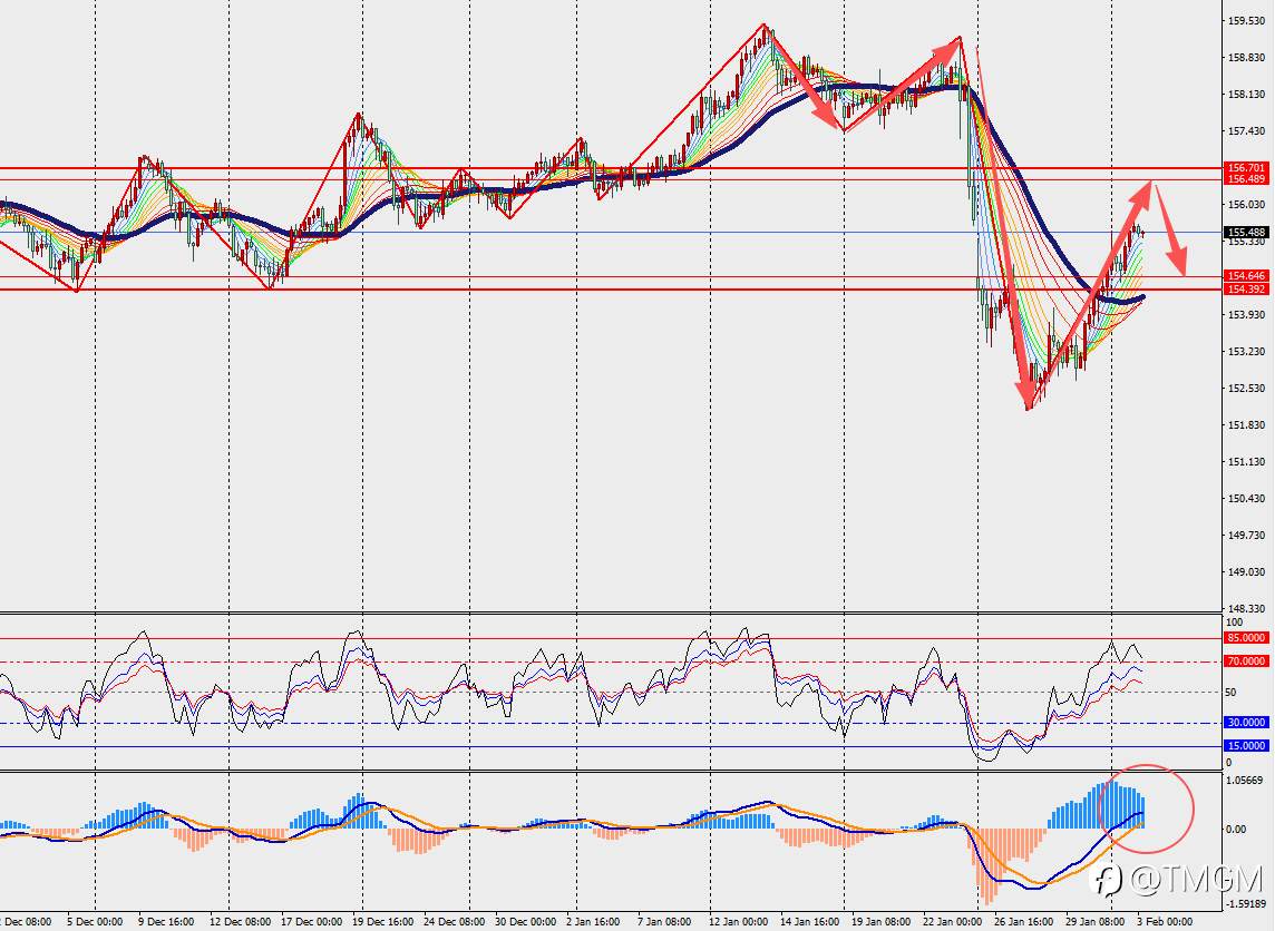 TMGM每日市场2月3日