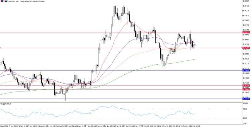 2026年2月12日市场报告